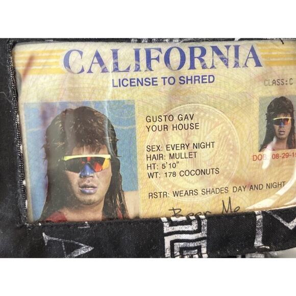 Matix Gusto Men’s Size 42 Fratparty Board Shorts Stash Pouch Dry Bag Swim Trunks - Picture 3 of 16